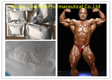Porcellana Fonte cruda steroide della polvere dell'acetato di Boldenone per crescita CAS 2363-59-9 del muscolo fornitore