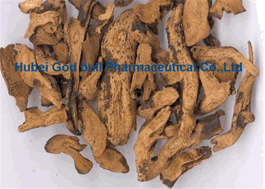 Porcellana Giallo brunastro della polvere 1-1-38 di erbe dell'estratto di Rhizoma Drynariae per dolore del rilascio fornitore